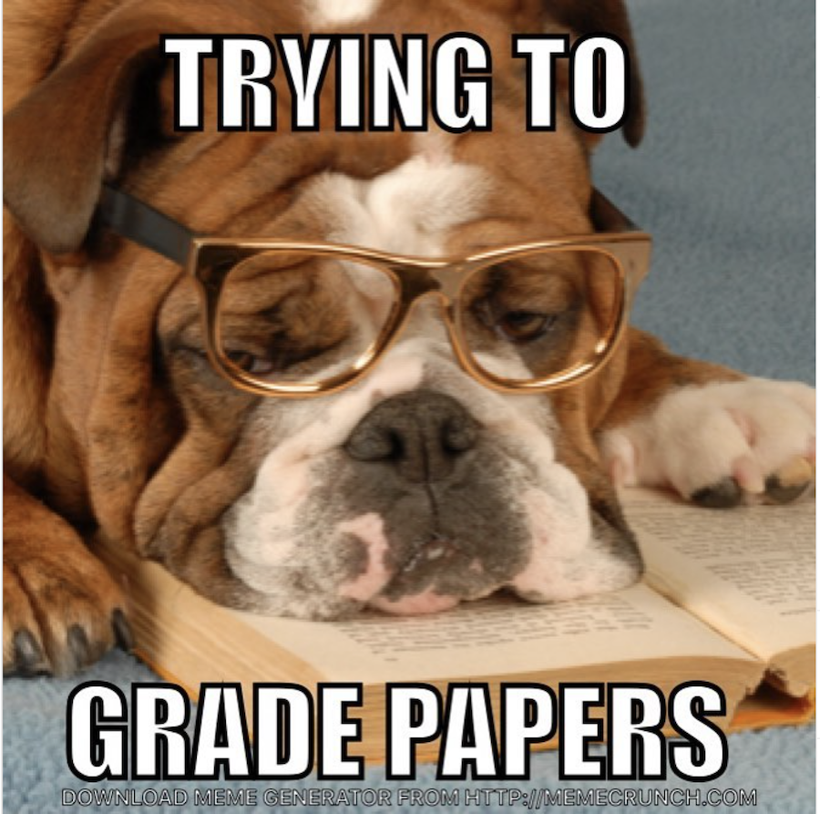 Dog wearing glasses and sleeping with face down in a book. Text reads: "Trying to grade papers.