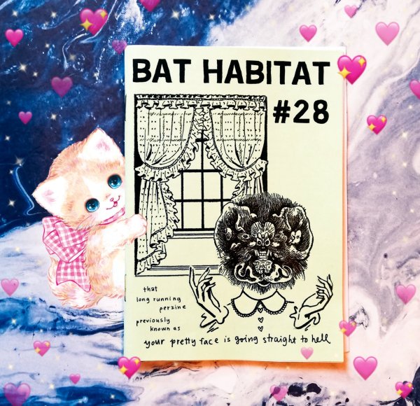 zine photo: Bat Habitat on a pink tablecloth with a kitty