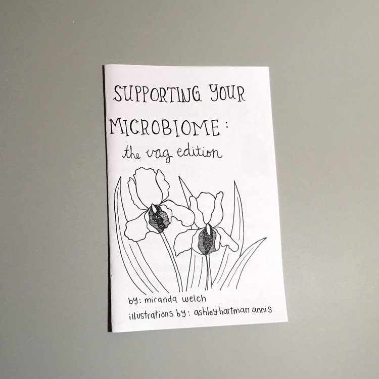 photo of Supporting Your Microbiome zine
