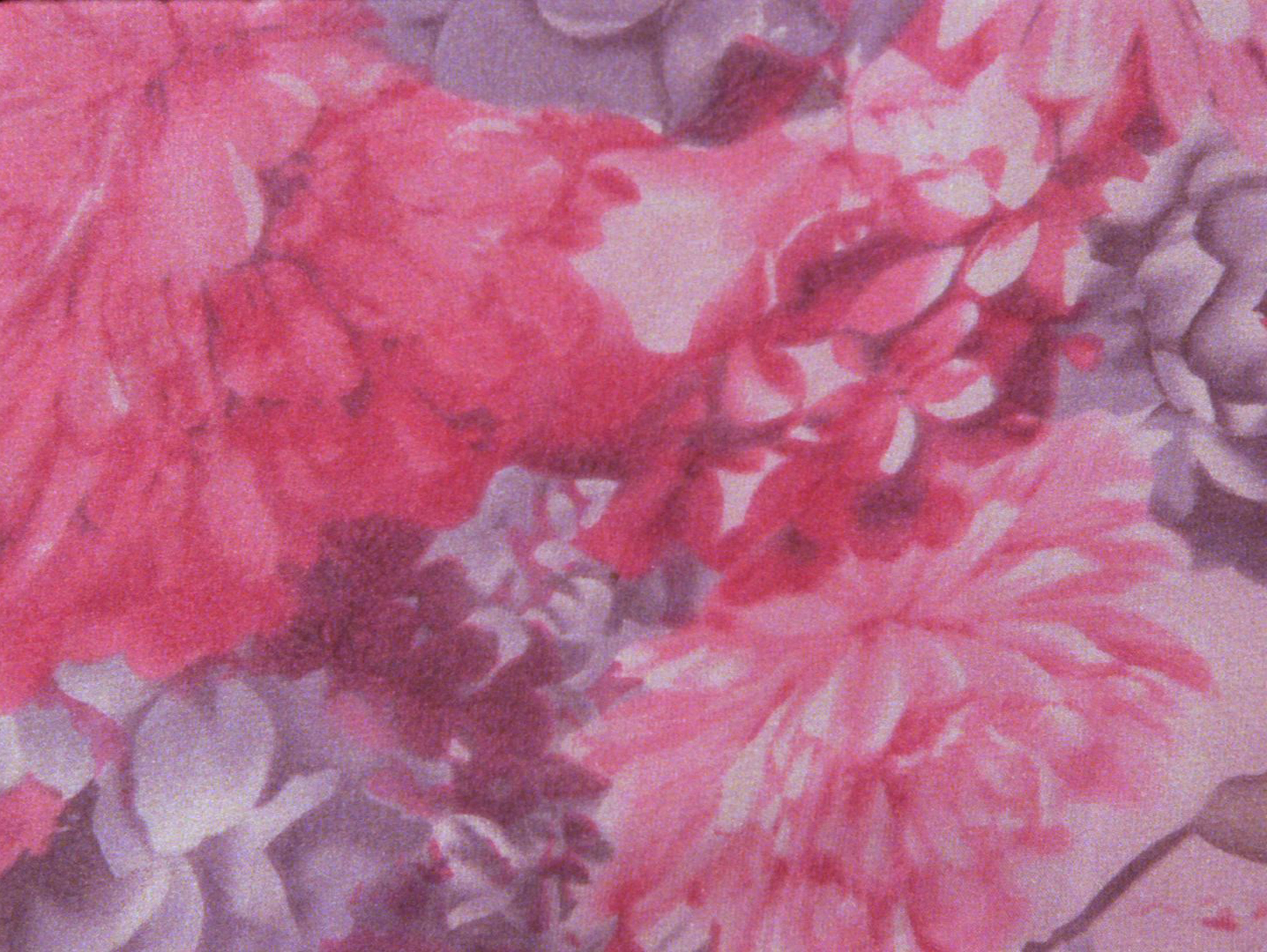Still from Posthaste Perennial Patterns: Close up of pink and purple flower pattern